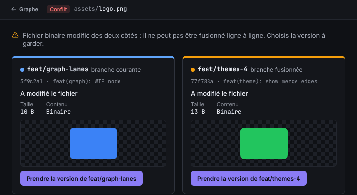 Vue de choix pour une image binaire, avec les deux versions côte à côte et un bouton pour prendre chacune