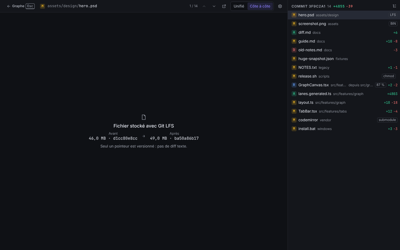 Diff de hero.psd : le panneau Fichier stocké avec Git LFS avec les tailles, et la pastille LFS dans la liste des fichiers