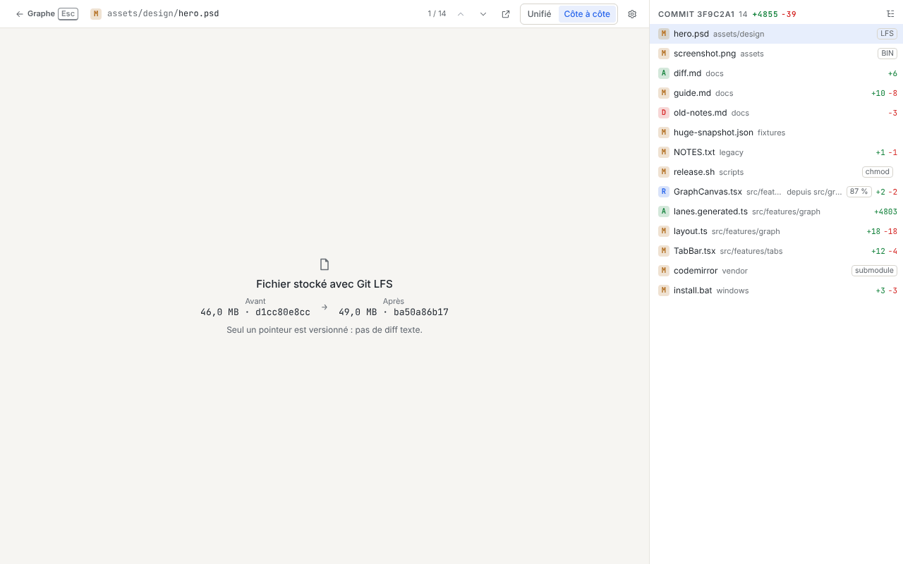 Diff de hero.psd : le panneau Fichier stocké avec Git LFS avec les tailles, et la pastille LFS dans la liste des fichiers