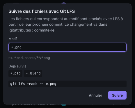 La boîte de dialogue Suivre des fichiers avec Git LFS, avec les motifs déjà suivis et un champ de saisie du motif