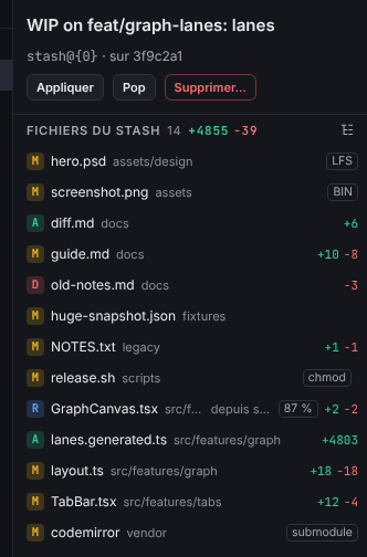 Le panneau Détails du stash avec le message du stash, son commit de base, les boutons Appliquer, Pop et Supprimer, et la liste des fichiers du stash