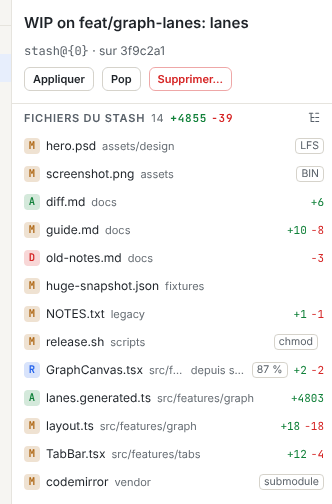 Le panneau Détails du stash avec le message du stash, son commit de base, les boutons Appliquer, Pop et Supprimer, et la liste des fichiers du stash