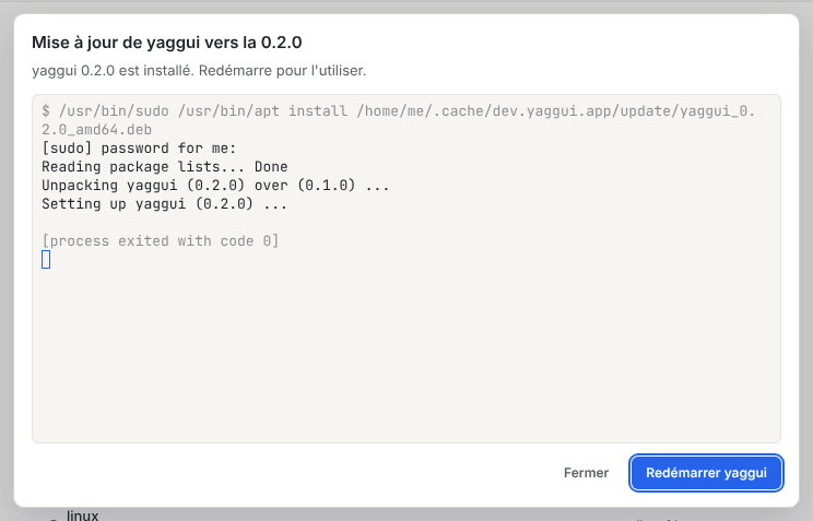 La boîte de dialogue de mise à jour de yaggui, avec un terminal où s’exécute le gestionnaire de paquets